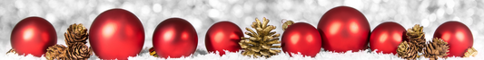 What Do You Want for Christmas?