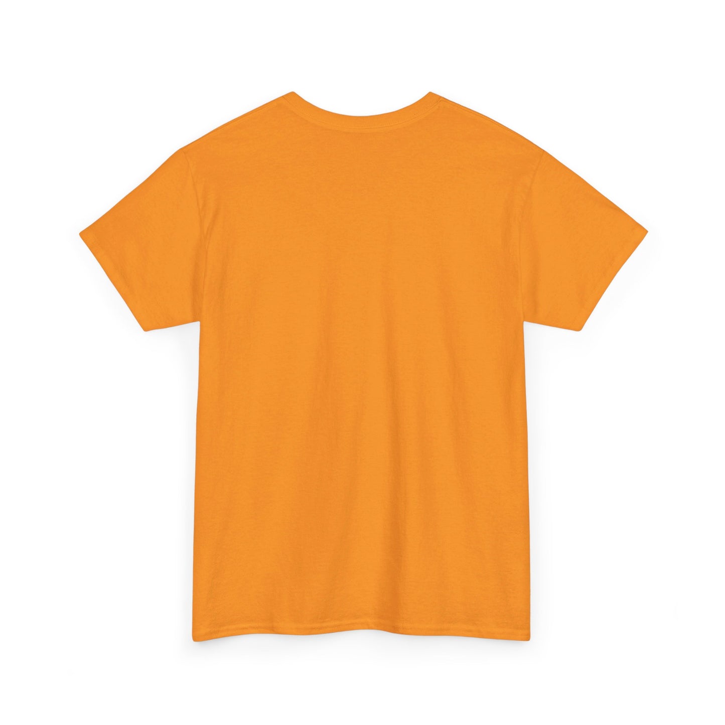 Haunted TBR - Unisex Heavy Cotton Tee