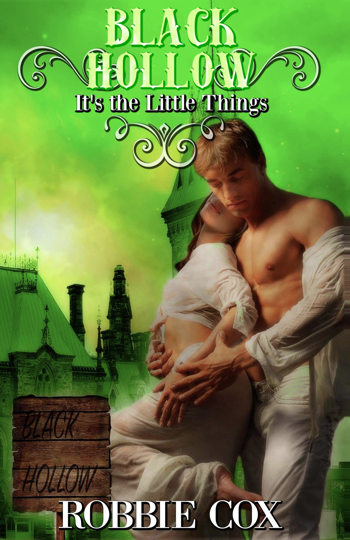 Black Hollow: It's the Little Things - Book 1