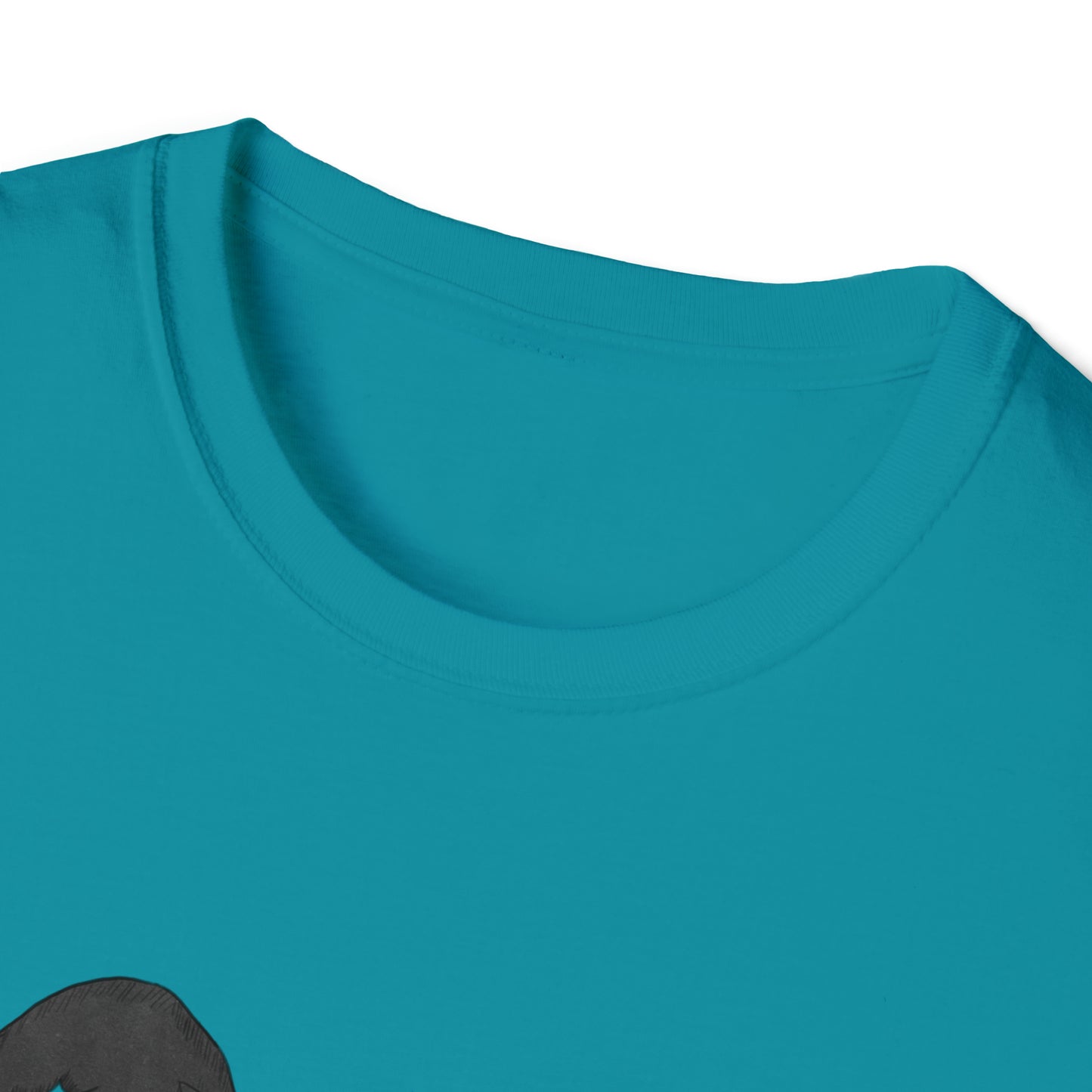 Bookish Witch - Unisex Soft-Style T-Shirt