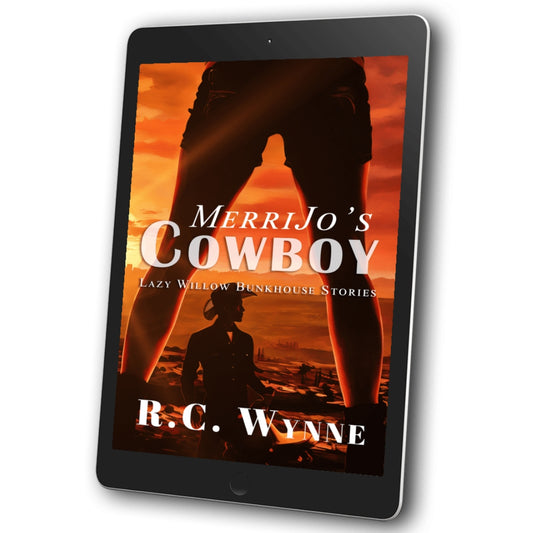 MerriJo's Cowboy (Lazy Willow Bunkhouse Book 1)