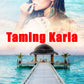 The Harper Twins - Book 2 - Taming Karla