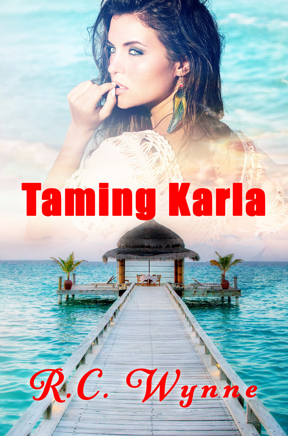 The Harper Twins - Book 2 - Taming Karla